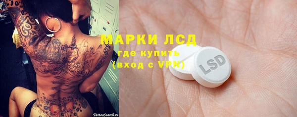 стаф Аркадак