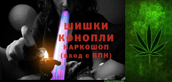 стаф Аркадак